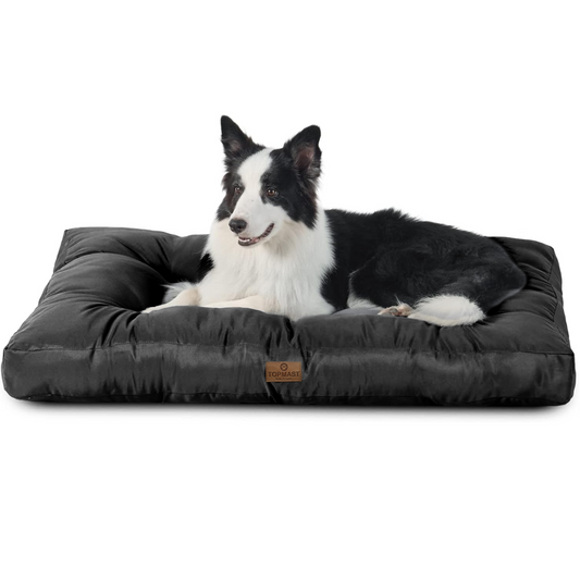 Hondenkussen Noble waterproof - Luxe Matras – Zwart 120 x 90 x 10 cm