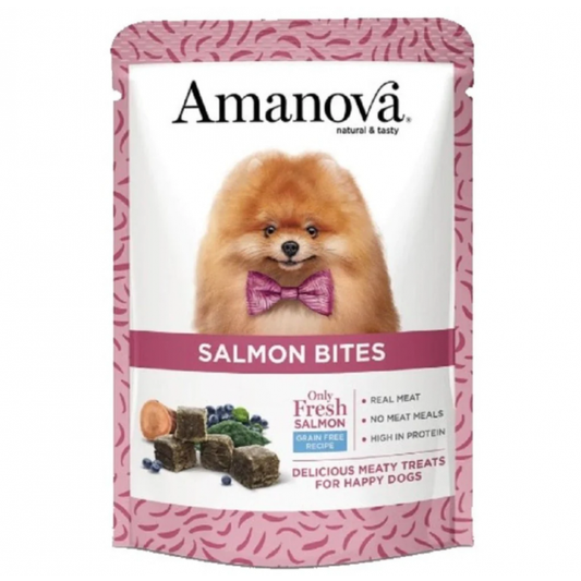 Amanova Bites - Zalm - 100% Natuurlijke Hondensnacks